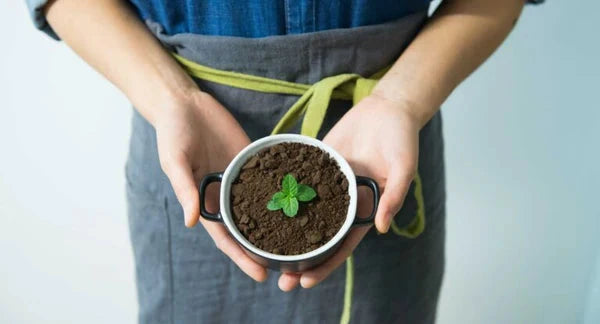 Nespresso kompatible Kapseln - plant in cup - My-Coffee-Cup.at