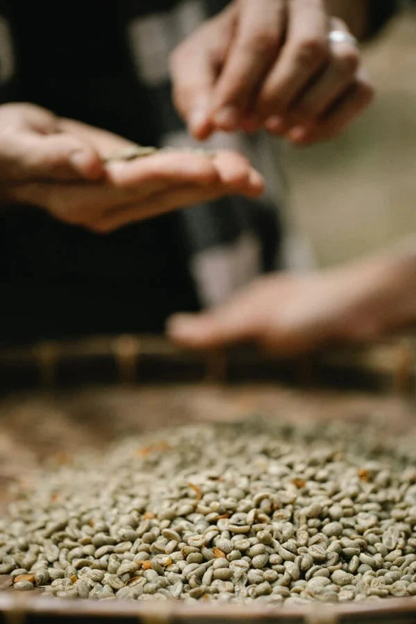 Nespresso kompatible Kapseln - picking coffee - My-Coffee-Cup.at