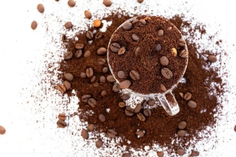 Nespresso kompatible Kapseln - full cup of coffee beans - My-Coffee-Cup.at
