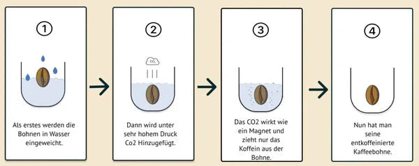 Nespresso kompatible Kapseln - coffee beans process - My-Coffee-Cup.at